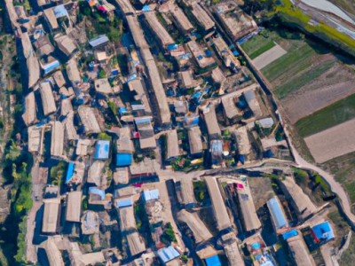 枝干番杏（枝干番杏的养殖方法和注意事项）