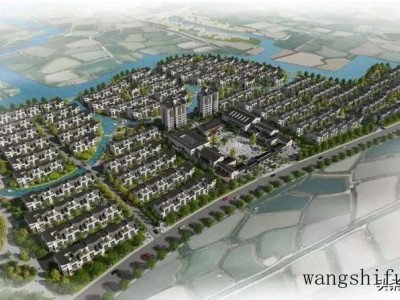 哪个属相旺牛（哪个属相旺牛发财）