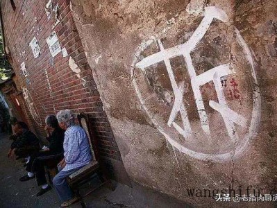 办公室装饰哪个好（办公室装饰哪个好看）