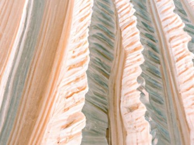 非常芯地漏和潜水艇哪个好？