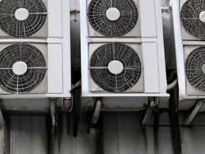 一帆风顺花（一帆风顺花发绿怎么回事）