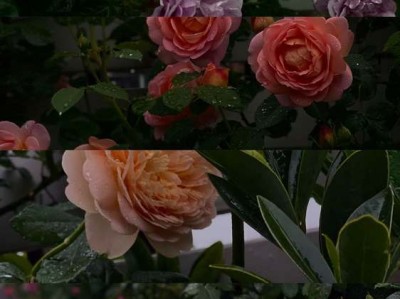 空调开哪个风速合适（空调开哪个风速合适省电）