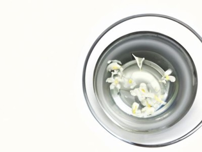 勿忘我花茶：一种美味又有益的饮品