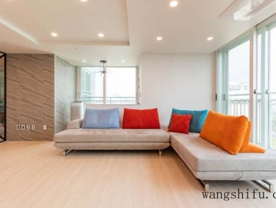 叶仙人掌（叶仙人掌图片）