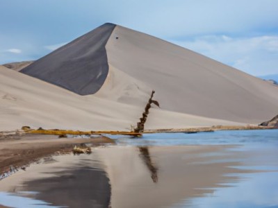 卓木王红木家具有限公司官网-为您打造高品质红木家具