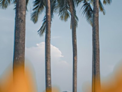 巧色棕色哪个颜色深及棕色和巧色哪个更自然