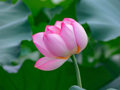 负荷开关和断路器的区别及应用场景选择