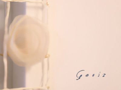 花镜哪个品牌好？进口花镜哪个品牌好？