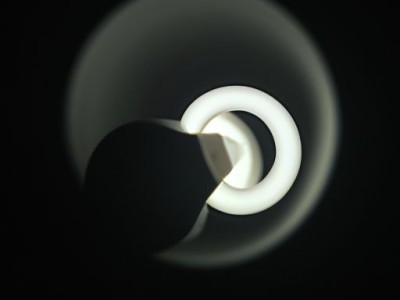 杜鹃花叶子干枯一碰就掉怎么补救？