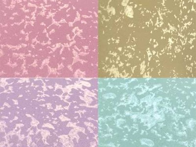 宅基地能不能抵押贷款