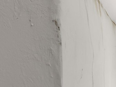 硅藻泥墙面脏了怎么办？如何清洗？