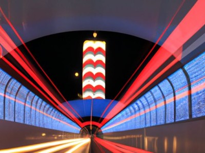 如何养好碧光环小兔子？碧光环养殖技巧详解