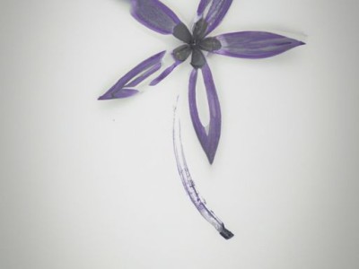 一帆风顺花图片大全高清-带你领略一帆风顺花的美丽之姿