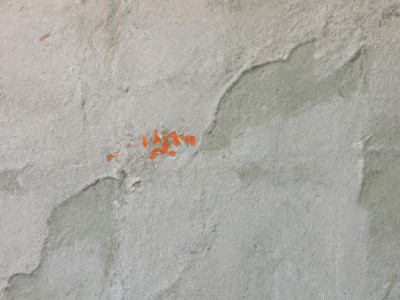 如何选择合适的墙面漆及其价位