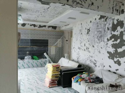 双孢菇（双孢菇是口蘑吗）