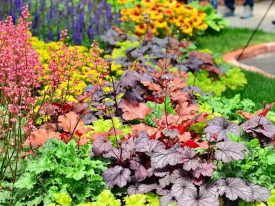 美晶酒柜哪个（美晶酒柜哪个系列好）