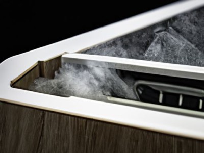 苏卡达象龟（2023年合法养陆龟试点城市）