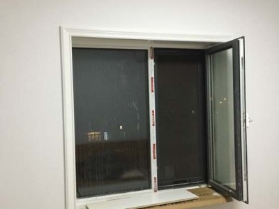 巴西美人（巴西美人的养殖方法和注意事项）