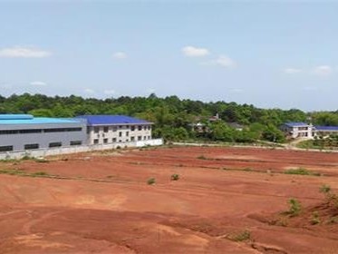 为什么土地拍卖突然转挂牌了