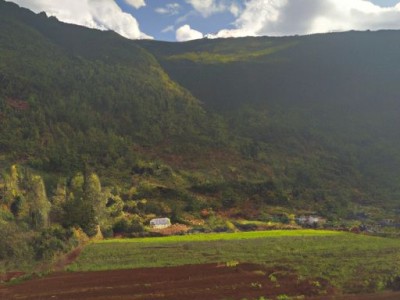 朗慕和凉山泊哪个更好？