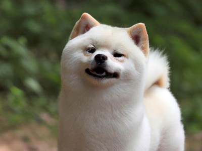 永久补漏防水（永久补漏防水怎么做）