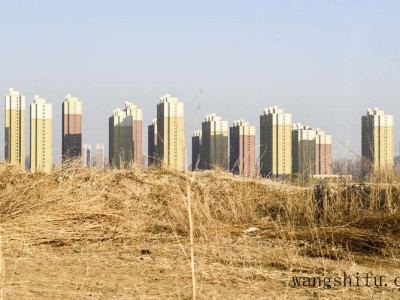 装修墙面怎么弄好看