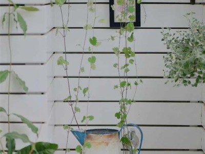 房地产中介服务包括哪些内容