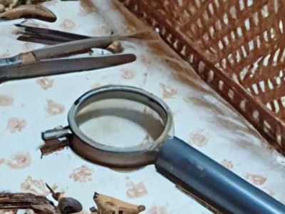 厨余垃圾有哪些物品及厨余垃圾有哪些物品20种