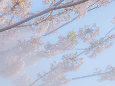 樱花抽油烟机哪个好用及樱花抽油烟机哪个好用又实惠