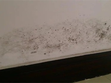 一楼装修如何防潮防霉