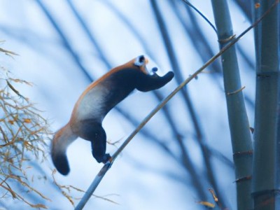 格力摇控哪个模式省电？