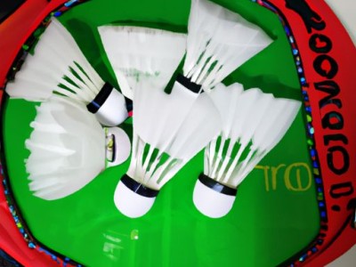 如何选择适合自己的羽毛球球包