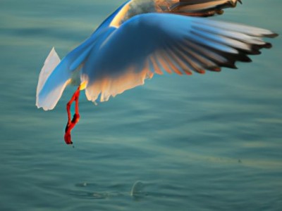 装修业主必知：采暖期及采暖期是几月到几月