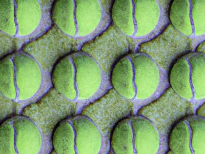 羽毛球地板及其材料的详细介绍