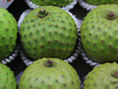 水果保鲜及水果保鲜库——让水果更加新鲜美味