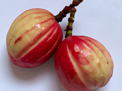 红提和夏黑哪个好？红提和夏黑哪个好吃？