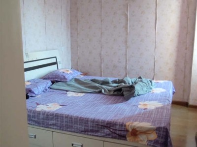 金钻（金钻的养殖方法和注意事项）