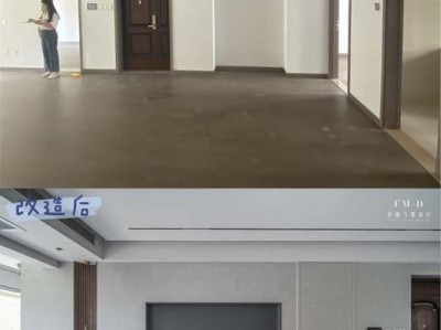 宠物狗贵宾（宠物狗贵宾犬图片）