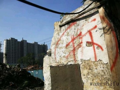 莲花掌（莲花掌的养殖方法和注意事项）