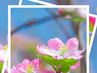 3.14周一早安，生命很短，愿你不必行色匆匆，只需快乐着（早安,愿你心情美好一整天）