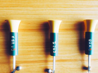 最好的喇叭是哪个牌子？