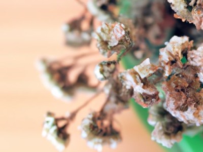 藤编屏风制作视频分享