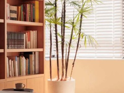 买床注意的8个事项是什么