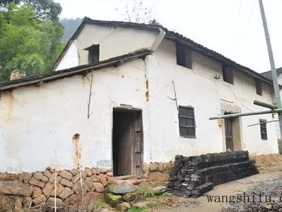 高砂之翁（高砂之翁多肉）