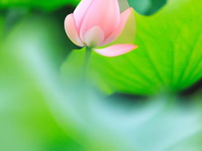 喷枪的使用方法及调节