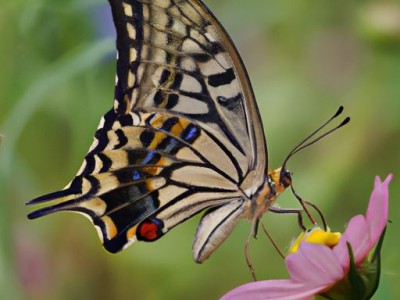 乳胶漆墙面变色以及褪色怎么办?专家妙招立马焕然一新