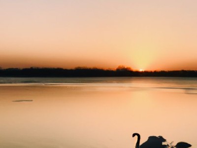 小天鹅和海尔松下哪个好？质量对比分析