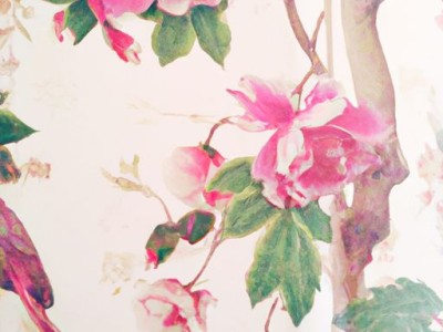 水磨席和炭化席哪个好（水磨席和炭化席哪个好一点）