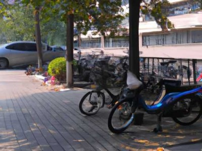 哪个小区有房住及哪个小区呢