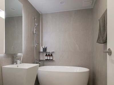 龙船花（龙船花的养殖方法和注意事项）